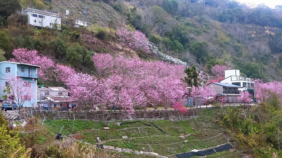La La Shan 5.5Knong Zhuang Hualing Esterno foto