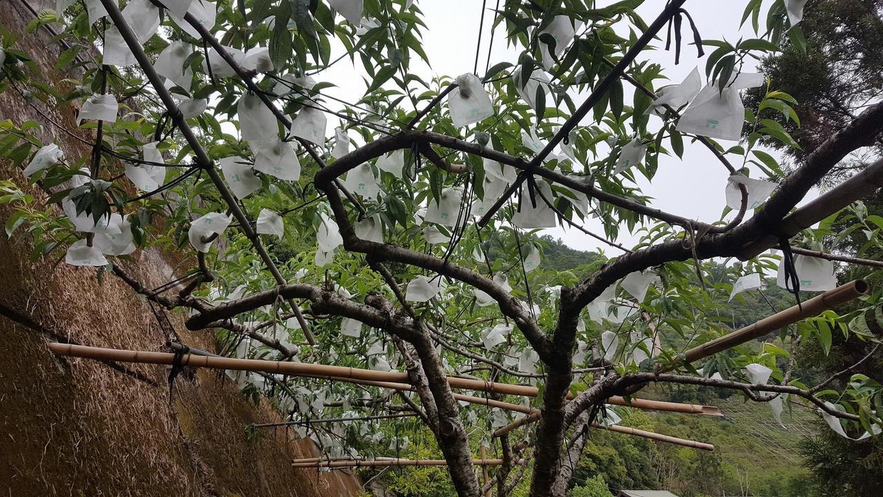 La La Shan 5.5Knong Zhuang Hualing Esterno foto